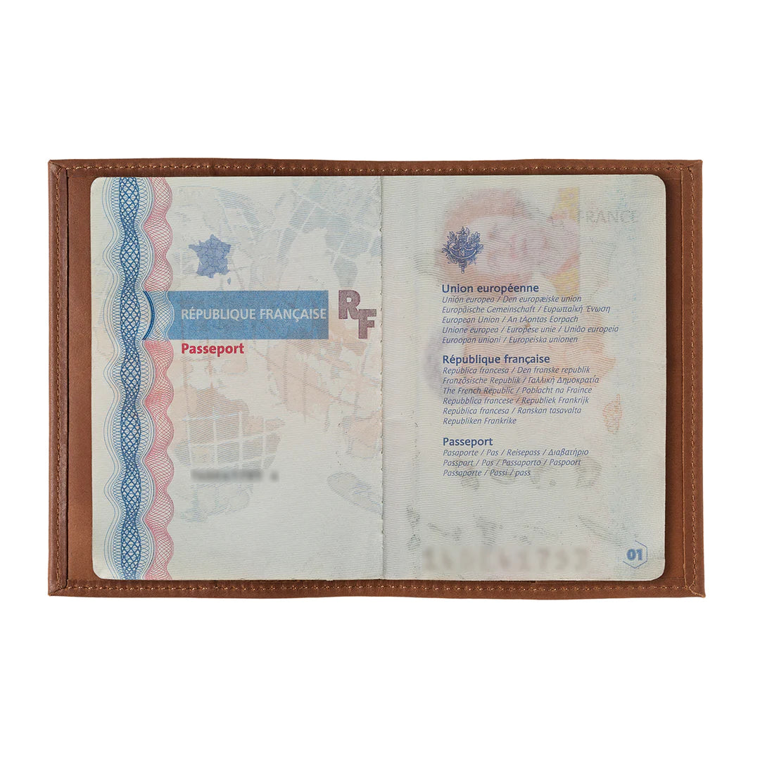 Porte-passeport Louis cuir vintage